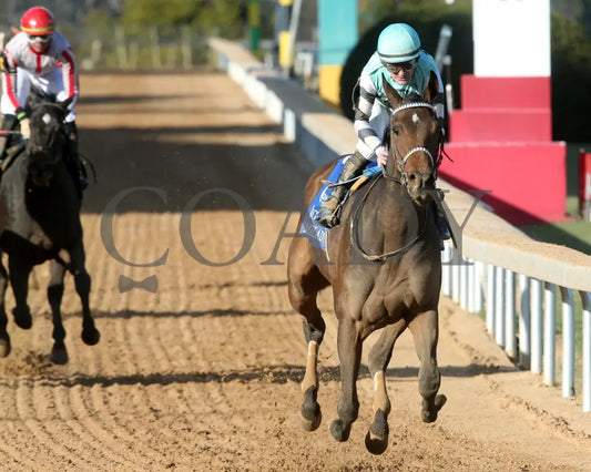 Take Charge Milady - The Martha Washington Stakes 01-25-25 R09 Op Gallop Out 01 Oaklawn Park
