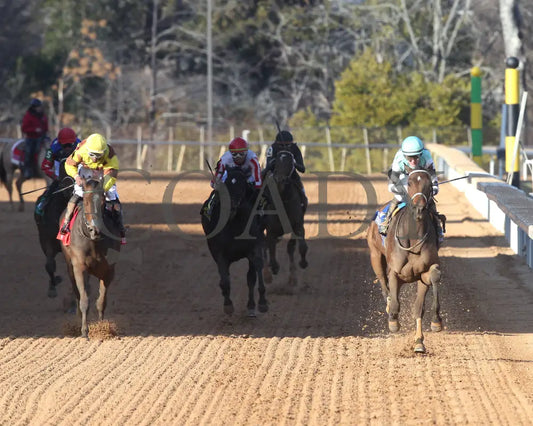 Take Charge Milady - The Martha Washington Stakes 01-25-25 R09 Op Head On 01 Oaklawn Park