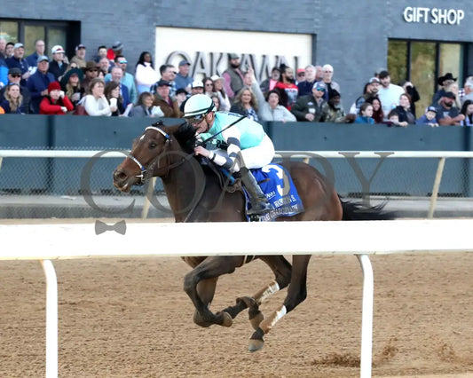 TAKE CHARGE MILADY - The Martha Washington Stakes - 01-25-25 - R09 - OP - Inside Finish 02 - Coady Media - Kurtis Coady Photography