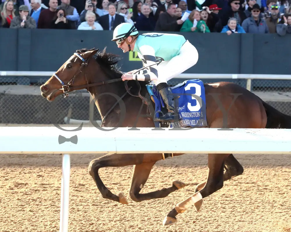 Take Charge Milady - The Martha Washington Stakes 01-25-25 R09 Op Inside Finish 01 Oaklawn Park
