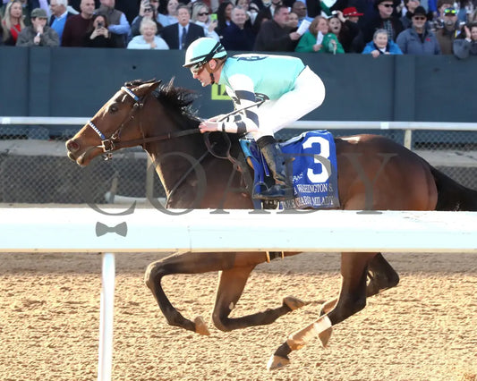 Take Charge Milady - The Martha Washington Stakes 01-25-25 R09 Op Inside Finish 01 Oaklawn Park
