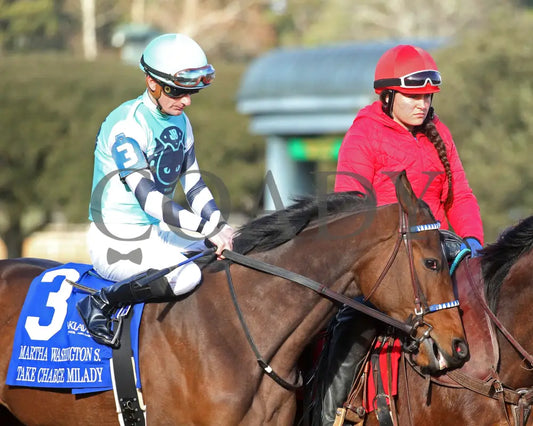 Take Charge Milady - The Martha Washington Stakes 01-25-25 R09 Op Post Parade 02 Oaklawn Park