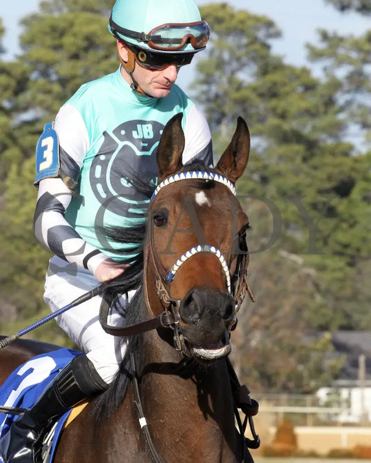 Take Charge Milady - The Martha Washington Stakes 01-25-25 R09 Op Post Parade 03 Oaklawn Park