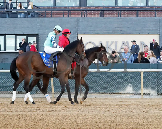 Take Charge Milady - The Martha Washington Stakes 01-25-25 R09 Op Post Parade 01 Oaklawn Park