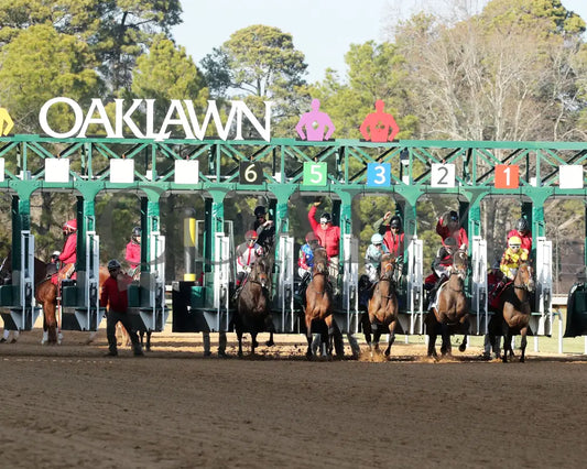 Take Charge Milady - The Martha Washington Stakes 01-25-25 R09 Op Start 01 Oaklawn Park