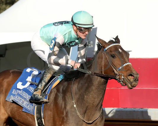 Take Charge Milady - The Martha Washington Stakes 01-25-25 R09 Op Tight Finish 02 Oaklawn Park