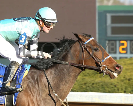 Take Charge Milady - The Martha Washington Stakes 01-25-25 R09 Op Tight Finish 01 Oaklawn Park