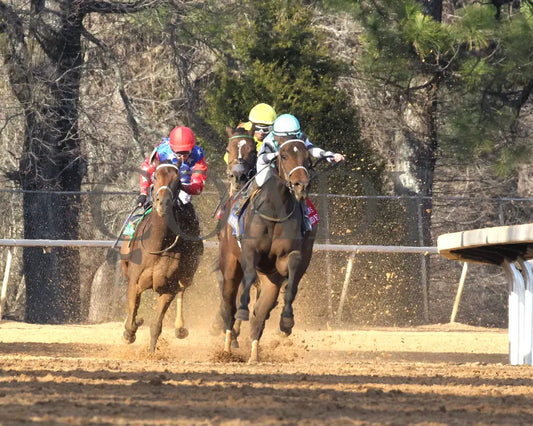 Take Charge Milady - The Martha Washington Stakes 01-25-25 R09 Op Trophy 01 Oaklawn Park