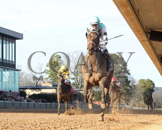 Take Charge Milady - The Martha Washington Stakes 01-25-25 R09 Op Under Rail 01 Oaklawn Park