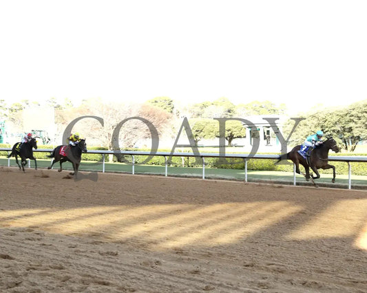 Take Charge Milady - The Martha Washington Stakes 01-25-25 R09 Op Up Track 01 Oaklawn Park