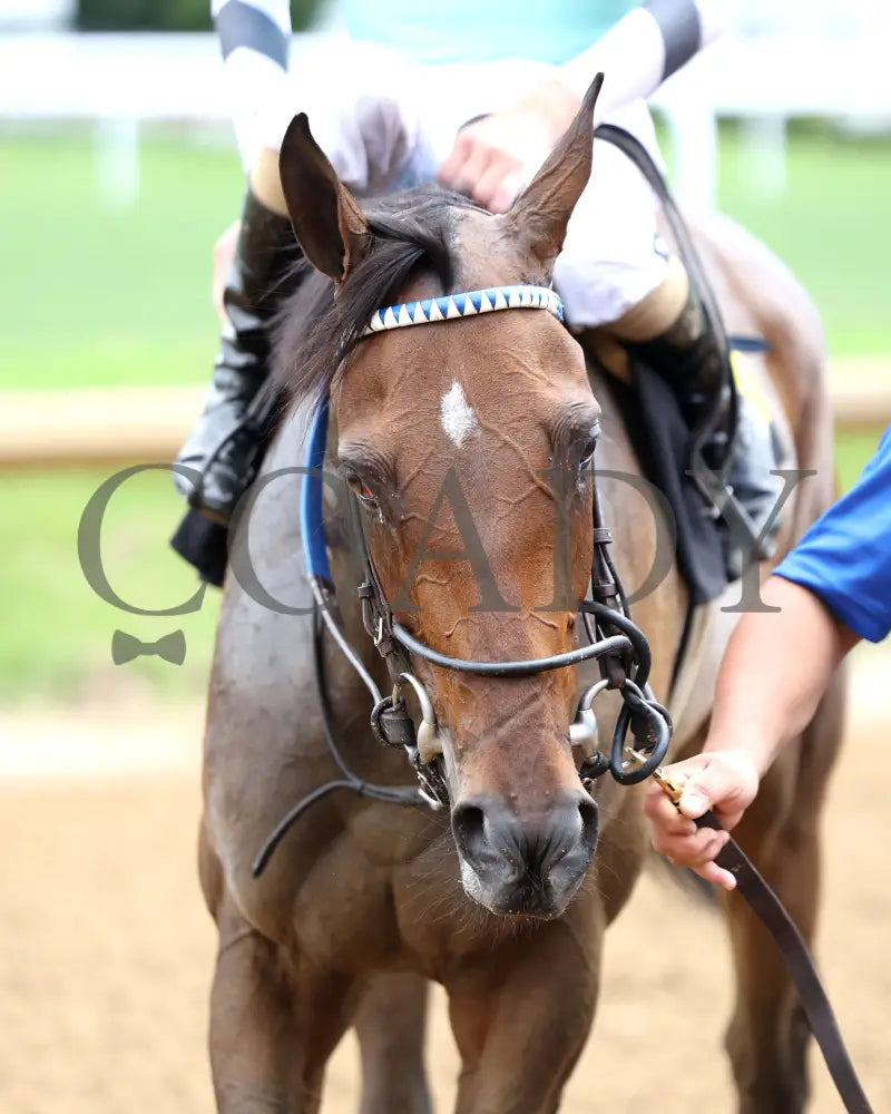 TAKE CHARGE MILADY - The Monomoy Girl Overnight Stakes - 06-14-25 - R05 - CD - Come Back 02 Churchill Downs