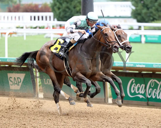 TAKE CHARGE MILADY - The Monomoy Girl Overnight Stakes - 06-14-25 - R05 - CD - Finish 02 Churchill Downs