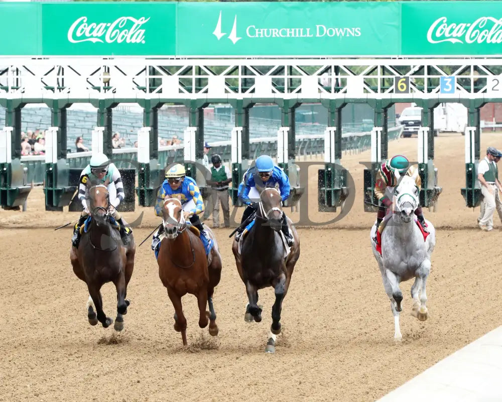 TAKE CHARGE MILADY - The Monomoy Girl Overnight Stakes - 06-14-25 - R05 - CD - Inside Finish 01 Churchill Downs