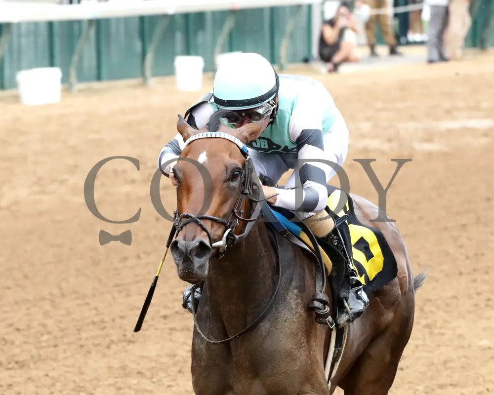 TAKE CHARGE MILADY - The Monomoy Girl Overnight Stakes - 06-14-25 - R05 - CD - Inside Finish 01 Churchill Downs
