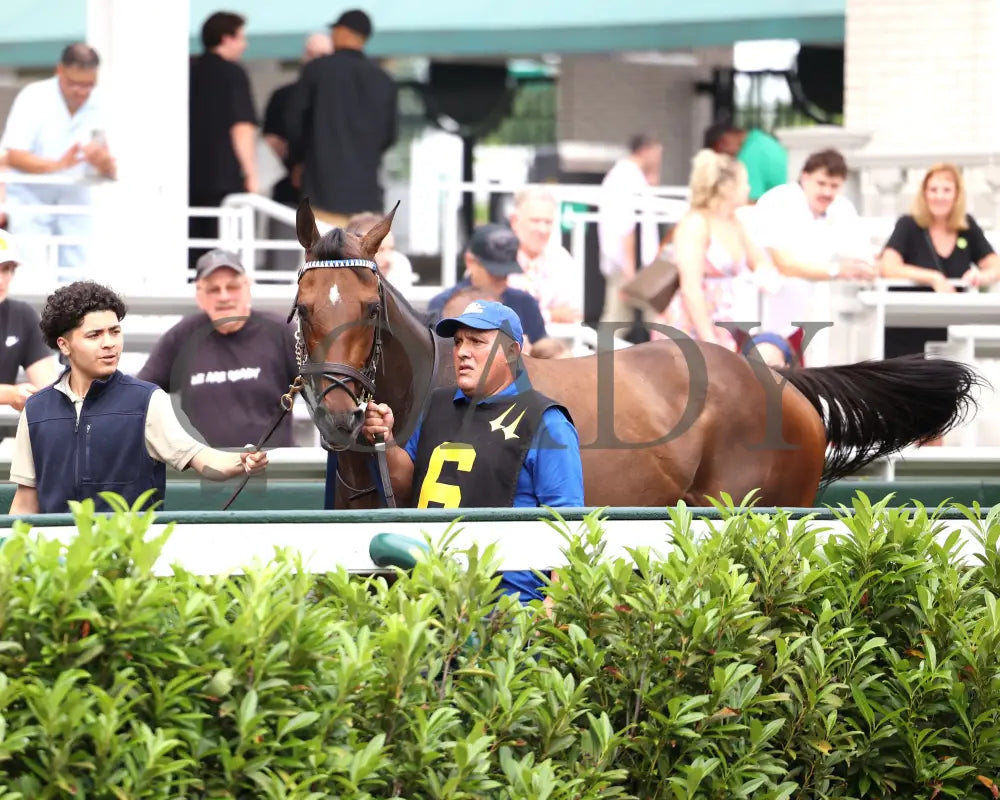 TAKE CHARGE MILADY - The Monomoy Girl Overnight Stakes - 06-14-25 - R05 - CD - Paddock 01 Churchill Downs
