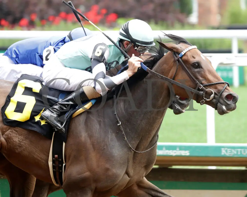 TAKE CHARGE MILADY - The Monomoy Girl Overnight Stakes - 06-14-25 - R05 - CD - Tight Finish 01 Churchill Downs