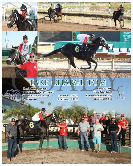 Take Charge Tom - 12-04-24 R06 Tup Turf Paradise