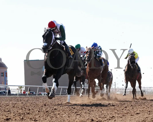 TAKE CHARGE TOM - Mine That Bird Derby-24th Running - 04-06-25 - R09 - Sunland Park - Under Rail Sunland Park