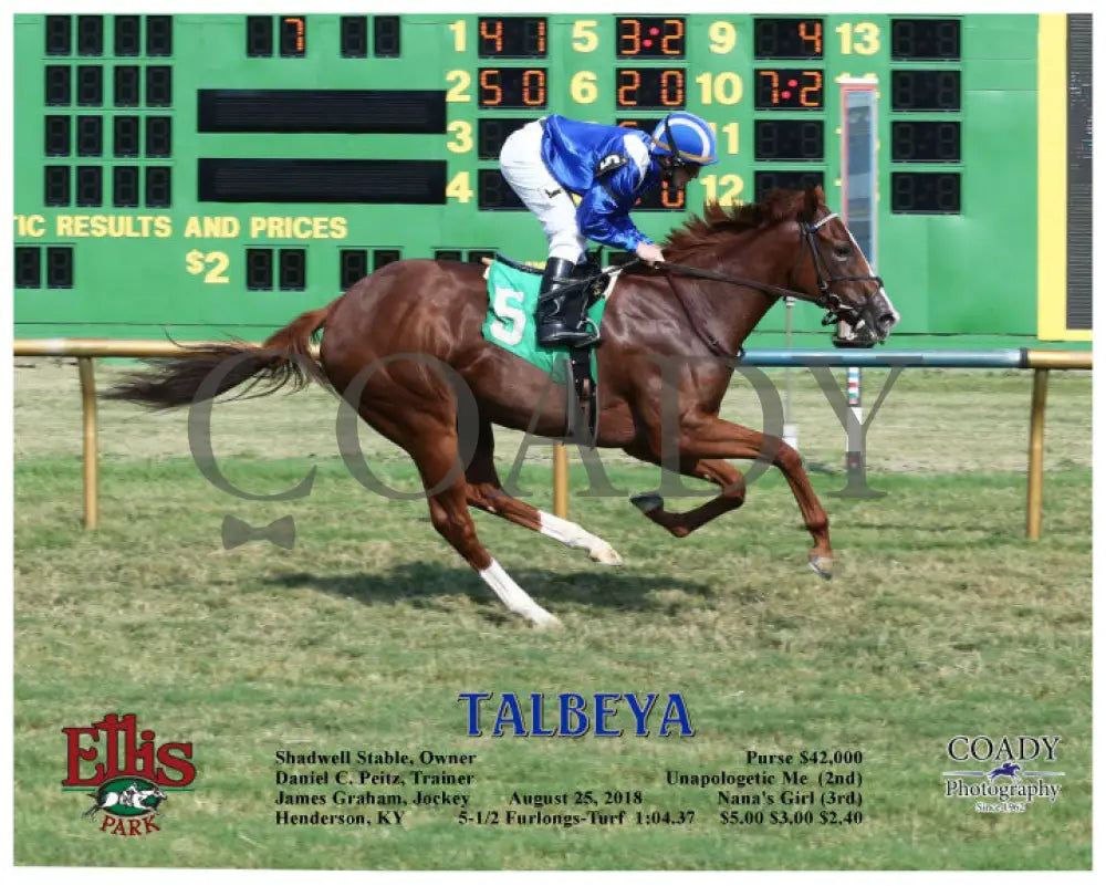 Talbeya - 082518 Race 07 Elp Action Ellis Park