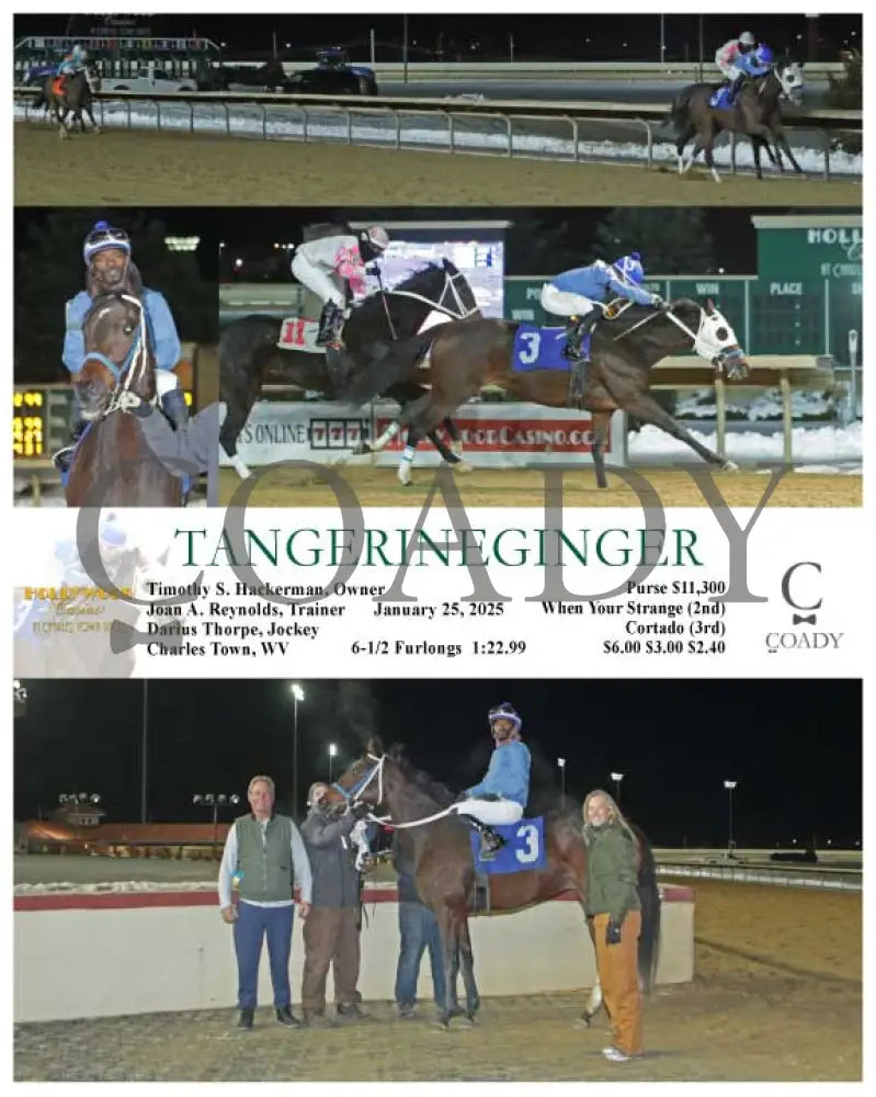 Tangerineginger - 01-25-25 R08 Ct Hollywood Casino At Charles Town Races