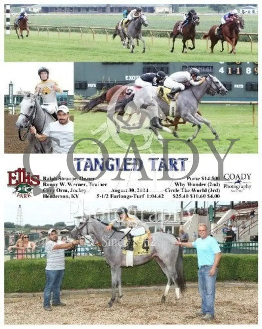 Tangled Tart - 083014 Race 01 Elp Ellis Park