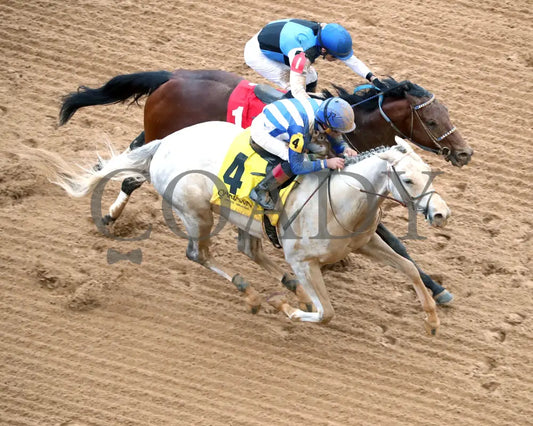 TAP INTO THIS - The Coach Overnight Stakes - 01-02-26 - R08 - OP - Aerial Finish 01 - Coady Media - Kurtis Coady Photography