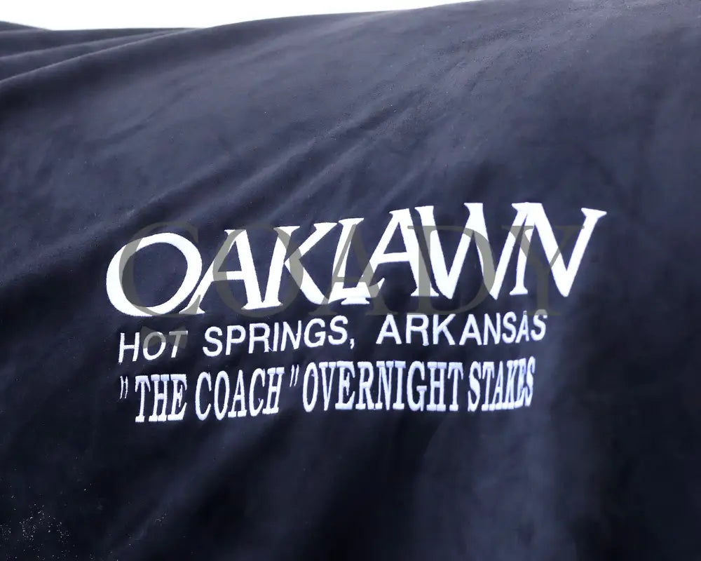 TAP INTO THIS - The Coach Overnight Stakes - 01-02-26 - R08 - OP - Blanket 02 - Coady Media - Kurtis Coady Photography