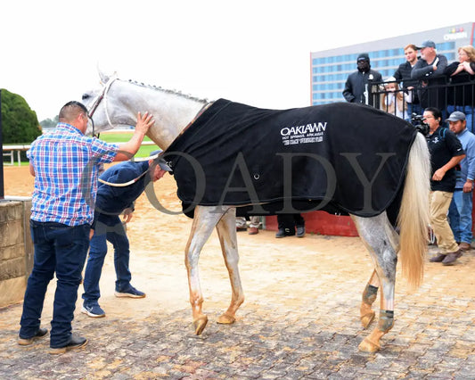 TAP INTO THIS - The Coach Overnight Stakes - 01-02-26 - R08 - OP - Blanket 01 - Coady Media - Kurtis Coady Photography