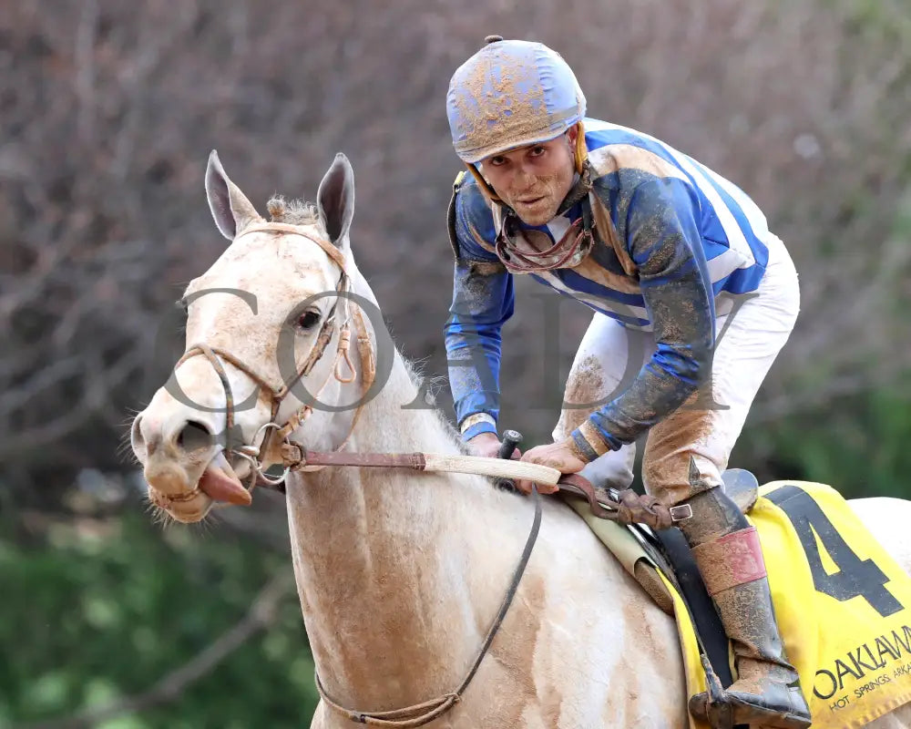 TAP INTO THIS - The Coach Overnight Stakes - 01-02-26 - R08 - OP - Come Back 03 - Coady Media - Kurtis Coady Photography
