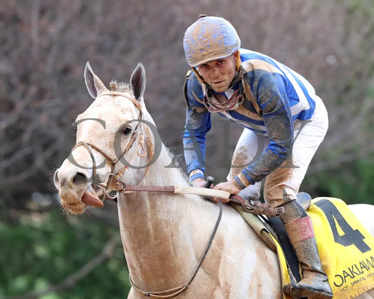 TAP INTO THIS - The Coach Overnight Stakes - 01-02-26 - R08 - OP - Come Back 03 - Coady Media - Kurtis Coady Photography