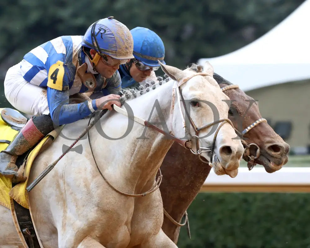 TAP INTO THIS - The Coach Overnight Stakes - 01-02-26 - R08 - OP - Finish 03 - Coady Media - Kurtis Coady Photography