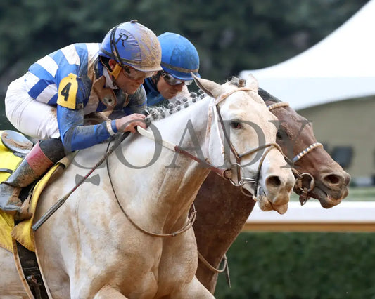 TAP INTO THIS - The Coach Overnight Stakes - 01-02-26 - R08 - OP - Finish 03 - Coady Media - Kurtis Coady Photography
