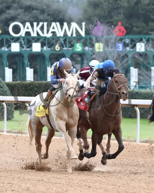 TAP INTO THIS - The Coach Overnight Stakes - 01-02-26 - R08 - OP - Finish 04 - Coady Media - Kurtis Coady Photography