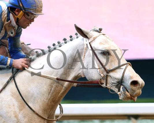TAP INTO THIS - The Coach Overnight Stakes - 01-02-26 - R08 - OP - Finish 05 - Coady Media - Kurtis Coady Photography