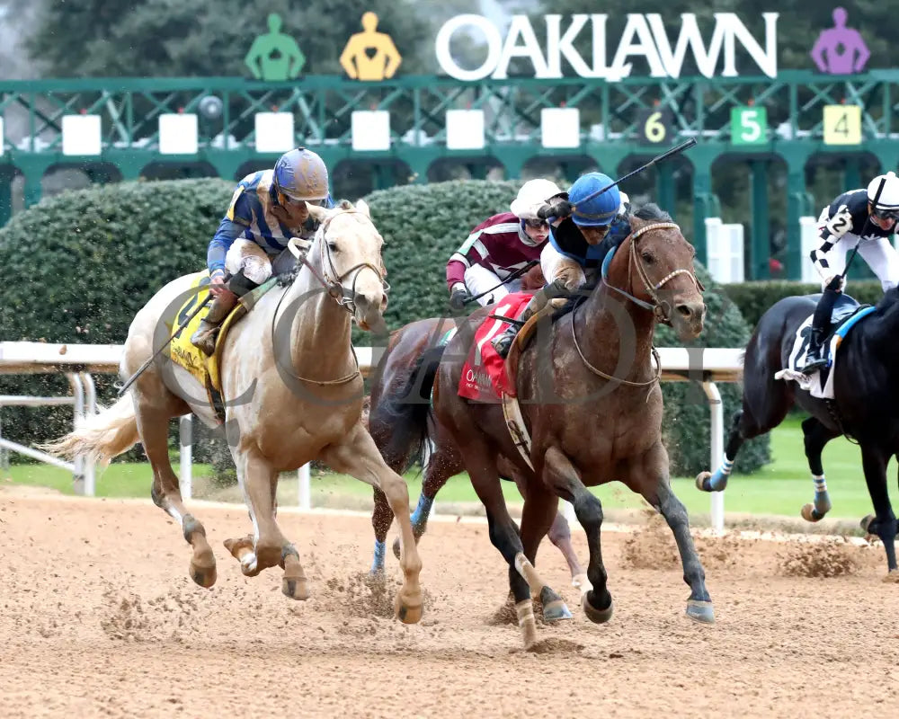 TAP INTO THIS - The Coach Overnight Stakes - 01-02-26 - R08 - OP - Finish 02 - Coady Media - Kurtis Coady Photography