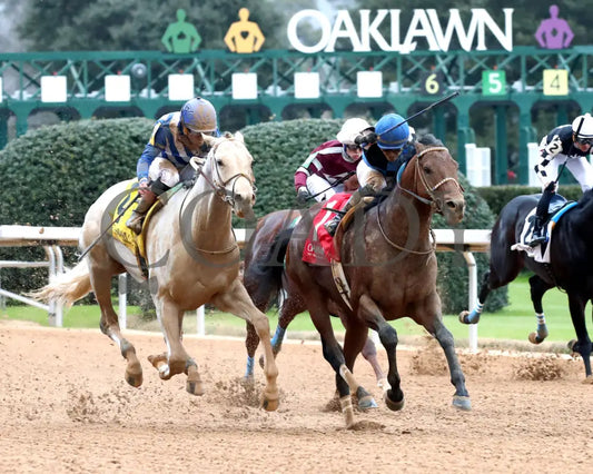 TAP INTO THIS - The Coach Overnight Stakes - 01-02-26 - R08 - OP - Finish 02 - Coady Media - Kurtis Coady Photography