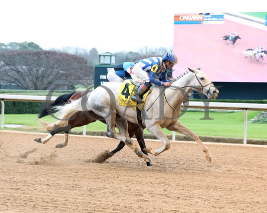 TAP INTO THIS - The Coach Overnight Stakes - 01-02-26 - R08 - OP - Finish 01 - Coady Media - Kurtis Coady Photography