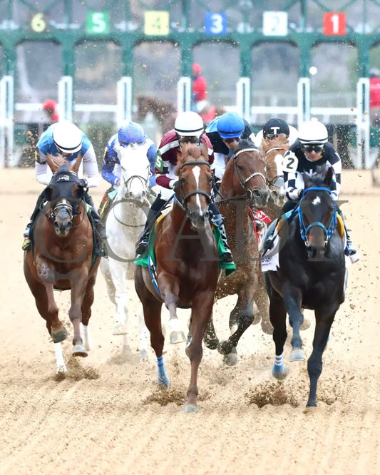 TAP INTO THIS - The Coach Overnight Stakes - 01-02-26 - R08 - OP - Head On 02 - Coady Media - Kurtis Coady Photography