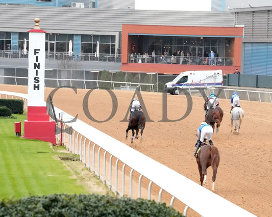 TAP INTO THIS - The Coach Overnight Stakes - 01-02-26 - R08 - OP - Inside Finish 01 - Coady Media - Kurtis Coady Photography