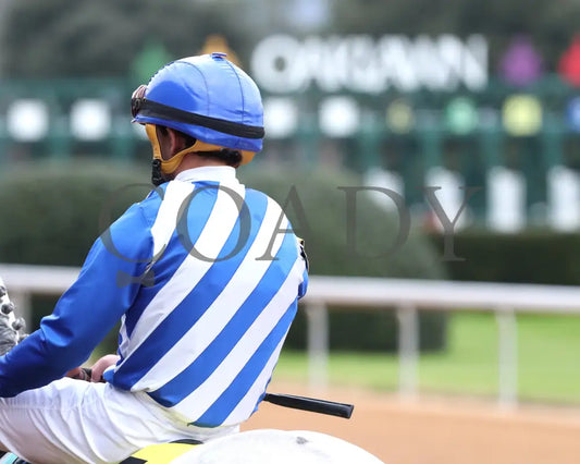 TAP INTO THIS - The Coach Overnight Stakes - 01-02-26 - R08 - OP - Post Parade 04 - Coady Media - Kurtis Coady Photography