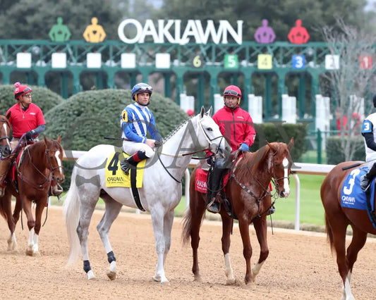 TAP INTO THIS - The Coach Overnight Stakes - 01-02-26 - R08 - OP - Post Parade 02 - Coady Media - Kurtis Coady Photography