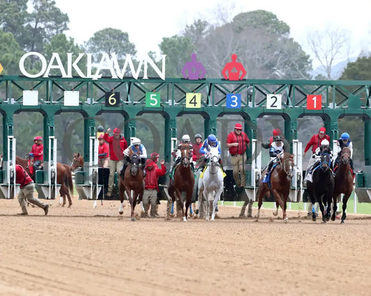 TAP INTO THIS - The Coach Overnight Stakes - 01-02-26 - R08 - OP - Start 01 - Coady Media - Kurtis Coady Photography