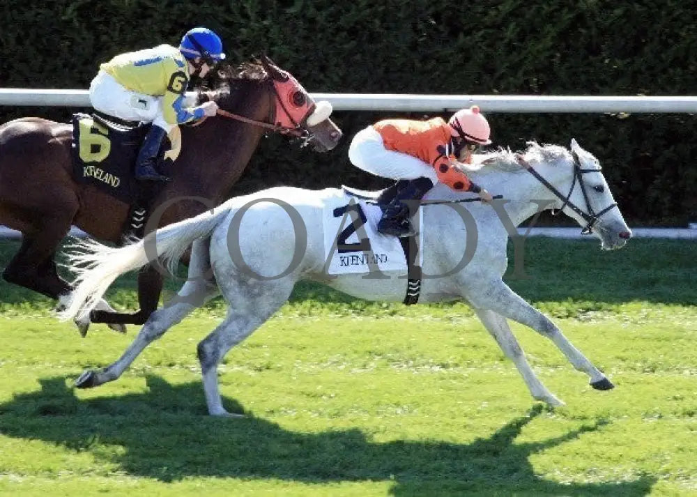 Tapitsfly - 100612 Race 07 Aerial Keeneland
