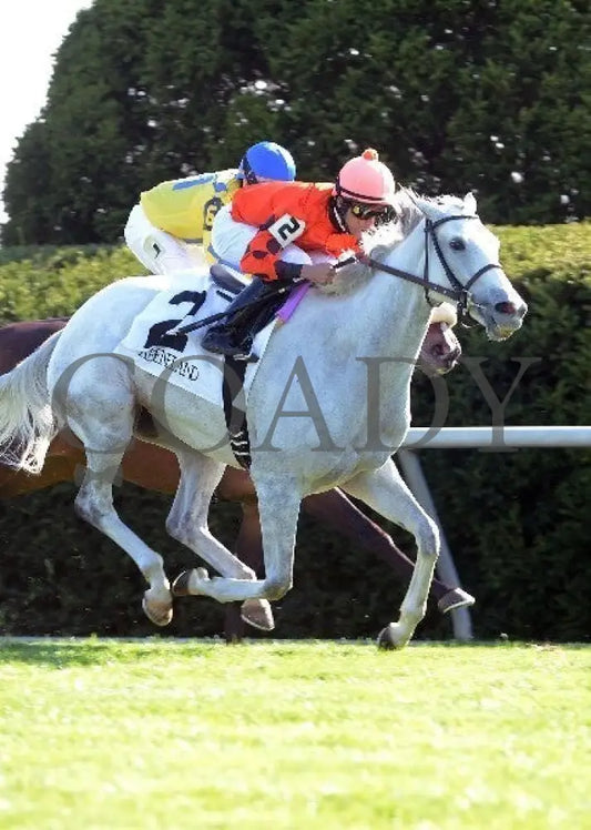 Tapitsfly - 100612 Race 07 Finish 2 Keeneland