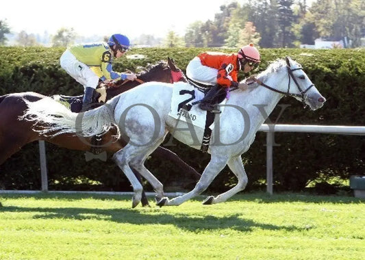 Tapitsfly - 100612 Race 07 Finish Keeneland