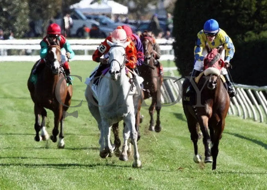 Tapitsfly - 100612 Race 07 Head On Keeneland