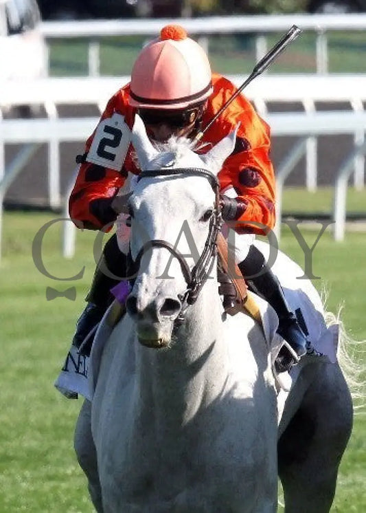 Tapitsfly - 100612 Race 07 Inside 2 Keeneland