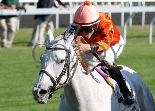 Tapitsfly - 100612 Race 07 Inside Keeneland
