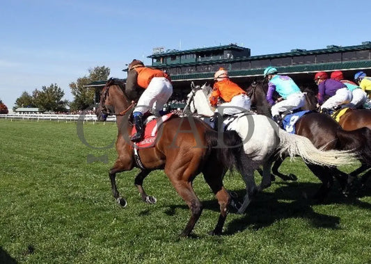 Tapitsfly - 100612 Race 07 Start Keeneland