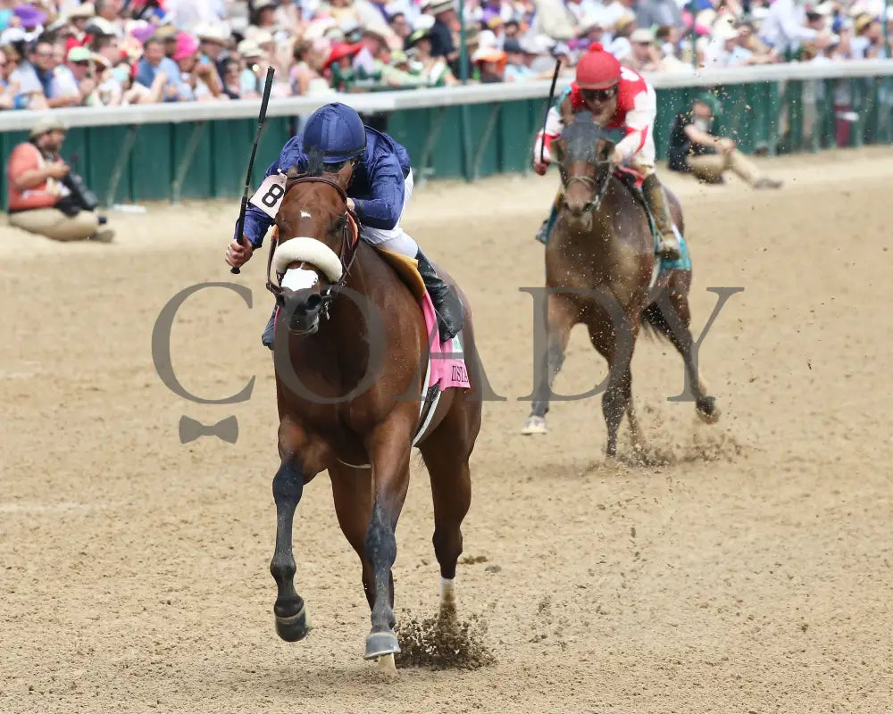Taris - 050716 005 Churchill Downs